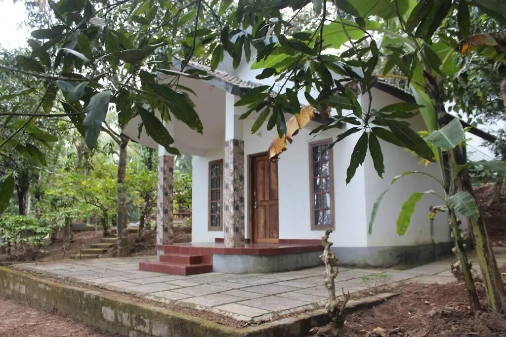 Wayal Wayanad Honey Moon Villa Panamaram