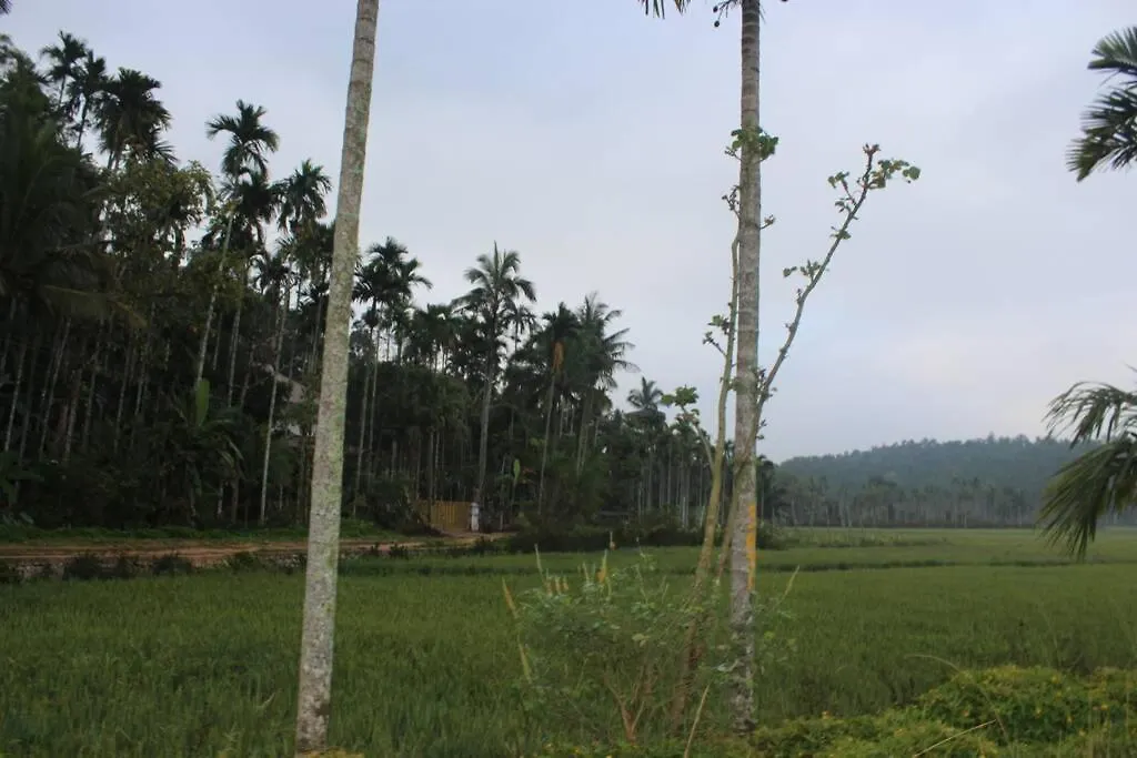 Wayal Wayanad Honey Moon Villa Panamaram