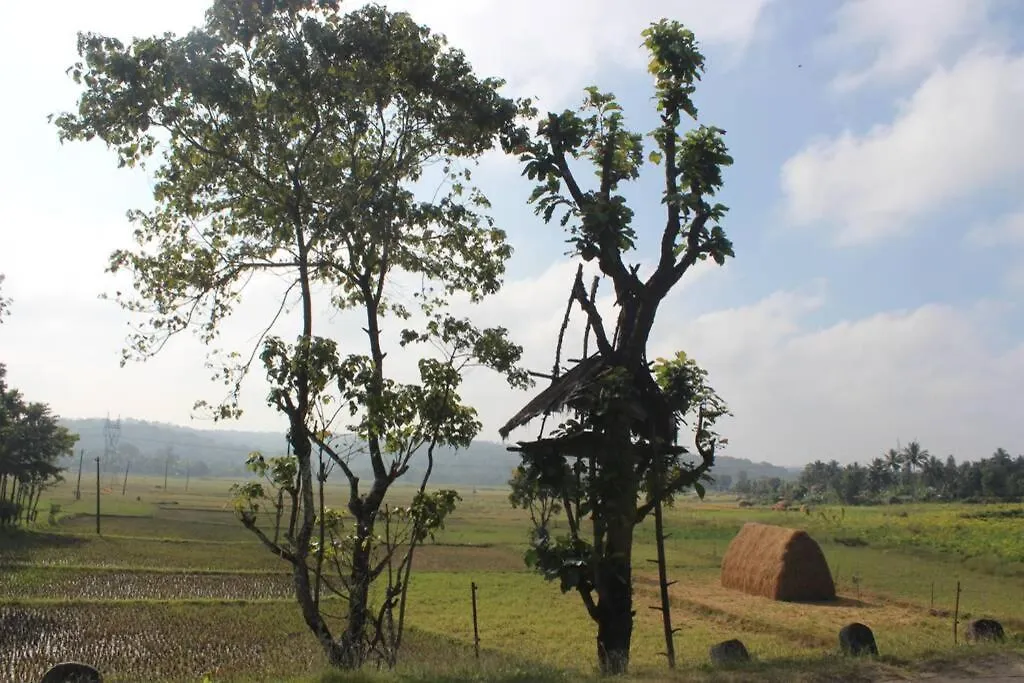 Wayal Wayanad Honey Moon Villa Panamaram