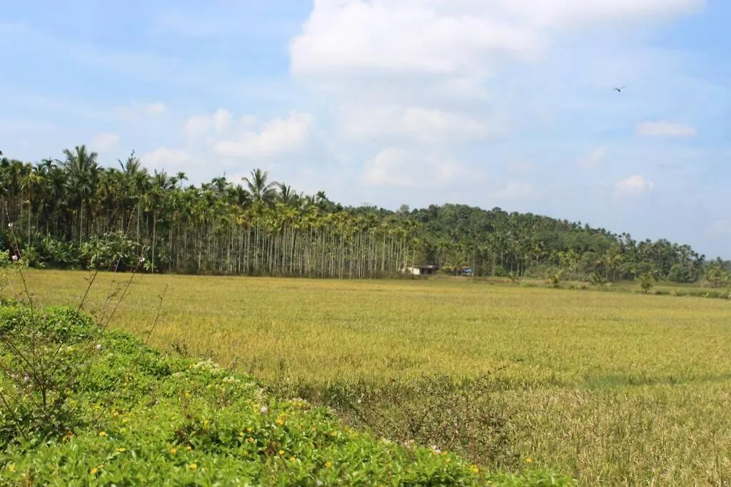 Wayal Wayanad Honey Moon Villa Panamaram